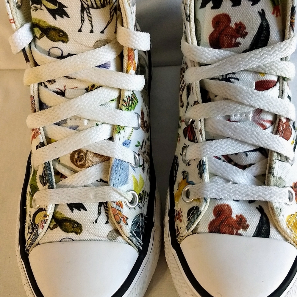 Converse Chuck Taylor Hightops Size 12